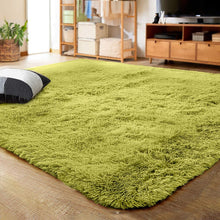 Load image into Gallery viewer, LOCHAS Thickened Fluffy Carpet decoration, living room