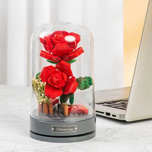 Load image into Gallery viewer, 44872519024896