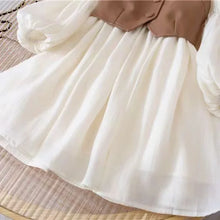 Load image into Gallery viewer, Baby Suits Girl Vest + Long Sleeve Dresses 2piece Kids Cute Princess Dress