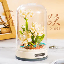 Load image into Gallery viewer, 44872519090432