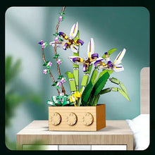 Load image into Gallery viewer, 44872518664448