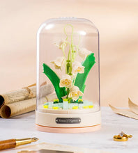 Load image into Gallery viewer, 44872518435072