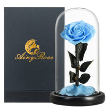 Load image into Gallery viewer, Roses In Glass Dome 5 Flower Heads Rose