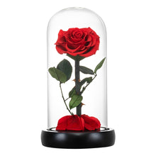 Load image into Gallery viewer, Roses In Glass Dome 5 Flower Heads Rose