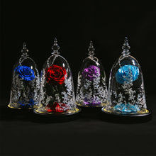 Load image into Gallery viewer, Valentine Gifts Beauty and The Beast Preserved Roses In Glass Forever Eternal Rose Flowers Wedding Valentine Gift for Girlfriend