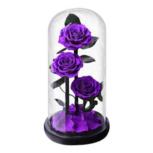Load image into Gallery viewer, Roses In Glass Dome 5 Flower Heads Rose