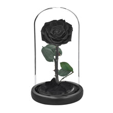 Load image into Gallery viewer, Roses In Glass Dome 5 Flower Heads Rose