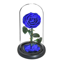Load image into Gallery viewer, Roses In Glass Dome 5 Flower Heads Rose