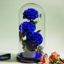 Load image into Gallery viewer, Roses In Glass Dome 5 Flower Heads Rose