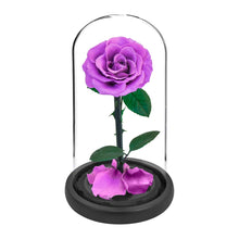 Load image into Gallery viewer, Roses In Glass Dome 5 Flower Heads Rose