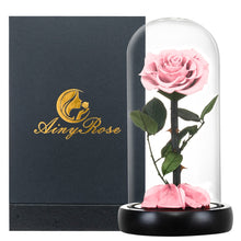Load image into Gallery viewer, Roses In Glass Dome 5 Flower Heads Rose