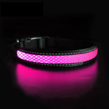 Load image into Gallery viewer, Nylon Dog Collar Flash Night Safety LED Glow Waterproof Dog Harness - sunnydayhomedecorboutique