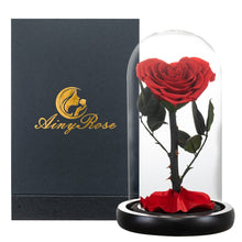 Load image into Gallery viewer, Roses In Glass Dome 5 Flower Heads Rose