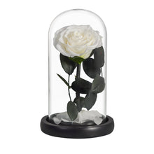 Load image into Gallery viewer, Roses In Glass Dome 5 Flower Heads Rose
