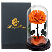 Load image into Gallery viewer, Roses In Glass Dome 5 Flower Heads Rose