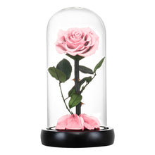 Load image into Gallery viewer, Roses In Glass Dome 5 Flower Heads Rose