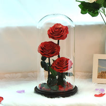 Load image into Gallery viewer, Roses In Glass Dome 5 Flower Heads Rose