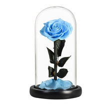 Load image into Gallery viewer, Roses In Glass Dome 5 Flower Heads Rose