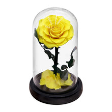 Load image into Gallery viewer, Roses In Glass Dome 5 Flower Heads Rose