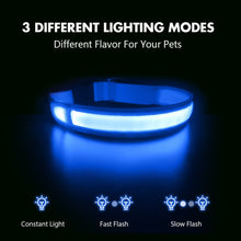Load image into Gallery viewer, MASBRILL Light Dog Collar USB Charging Rechargeable Waterproof - sunnydayhomedecorboutique