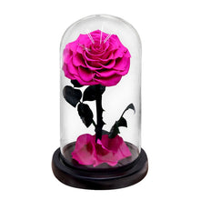 Load image into Gallery viewer, Roses In Glass Dome 5 Flower Heads Rose