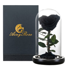 Load image into Gallery viewer, Roses In Glass Dome 5 Flower Heads Rose