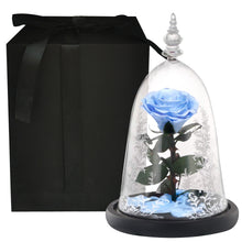Load image into Gallery viewer, Valentine Gifts Beauty and The Beast Preserved Roses In Glass Forever Eternal Rose Flowers Wedding Valentine Gift for Girlfriend