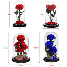 Load image into Gallery viewer, Roses In Glass Dome 5 Flower Heads Rose