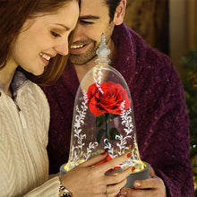 Load image into Gallery viewer, Valentine Gifts Beauty and The Beast Preserved Roses In Glass Forever Eternal Rose Flowers Wedding Valentine Gift for Girlfriend