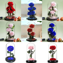Load image into Gallery viewer, Roses In Glass Dome 5 Flower Heads Rose
