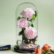 Load image into Gallery viewer, Roses In Glass Dome 5 Flower Heads Rose