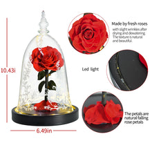 Load image into Gallery viewer, Valentine Gifts Beauty and The Beast Preserved Roses In Glass Forever Eternal Rose Flowers Wedding Valentine Gift for Girlfriend