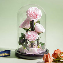 Load image into Gallery viewer, Roses In Glass Dome 5 Flower Heads Rose