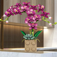 Load image into Gallery viewer, Building Block Flower Orchid Series Bonsai Girl Build Toy Flowers Adult Flower
