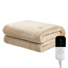 Load image into Gallery viewer, 220V Blanket Heated Electric Sheet Thicken Thermostat Electric Blankets
