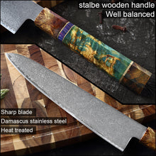 Load image into Gallery viewer, Kitchen Chef Knife High Quality VG10 Japanese Damascus Steel
