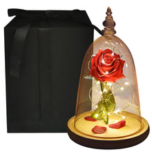 Load image into Gallery viewer, Valentine Gifts Beauty and The Beast Preserved Roses In Glass Forever Eternal Rose Flowers Wedding Valentine Gift for Girlfriend
