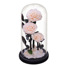 Load image into Gallery viewer, Roses In Glass Dome 5 Flower Heads Rose
