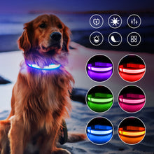 Load image into Gallery viewer, MASBRILL Light Dog Collar USB Charging Rechargeable Waterproof - sunnydayhomedecorboutique
