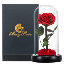 Load image into Gallery viewer, Roses In Glass Dome 5 Flower Heads Rose
