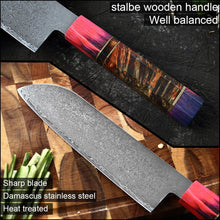 Load image into Gallery viewer, Kitchen Chef Knife High Quality VG10 Japanese Damascus Steel
