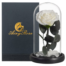 Load image into Gallery viewer, Roses In Glass Dome 5 Flower Heads Rose
