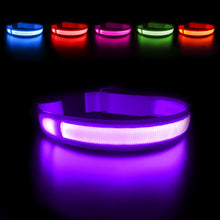 Load image into Gallery viewer, MASBRILL Light Dog Collar USB Charging Rechargeable Waterproof - sunnydayhomedecorboutique
