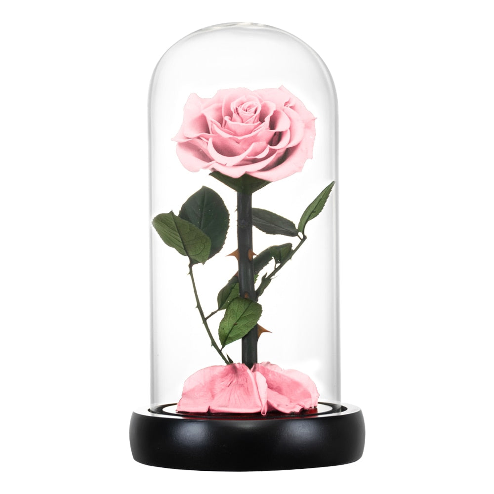 Roses In Glass Dome 5 Flower Heads Rose