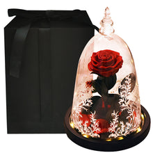 Load image into Gallery viewer, Valentine Gifts Beauty and The Beast Preserved Roses In Glass Forever Eternal Rose Flowers Wedding Valentine Gift for Girlfriend
