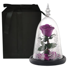 Load image into Gallery viewer, Valentine Gifts Beauty and The Beast Preserved Roses In Glass Forever Eternal Rose Flowers Wedding Valentine Gift for Girlfriend

